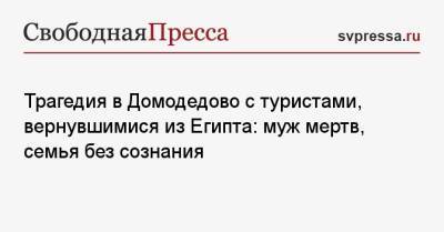 Ольга Врадий - Трагедия в Домодедово с туристами, вернувшимися из Египта: муж мертв, семья без сознания - svpressa.ru - Египет - Московская обл. - Воронежская обл. - городское поселение Домодедово