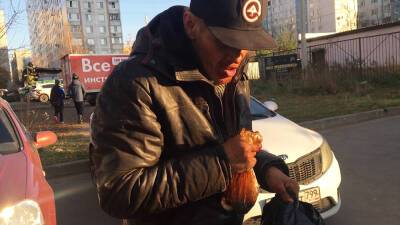 В Подмосковье дебошир превратил жизнь соседей в кошмар - tvc.ru - Московская обл.