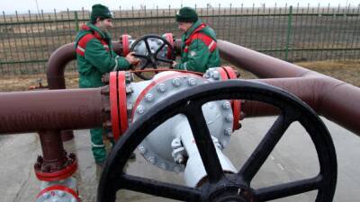 Игорь Демин - Белоруссия временно остановила транзит нефти в Польшу - news-front.info - Россия - Белоруссия - Польша