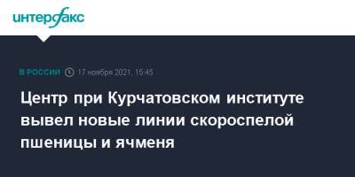 Татьяна Голикова - Центр при Курчатовском институте вывел новые линии скороспелой пшеницы и ячменя - interfax.ru - Москва - Россия