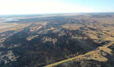 На Ровенщине площадь пожарищ достигла почти 300 гектар - lenta.ua - Украина - Одесса - район Приморский, Одесса
