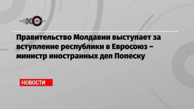 Нику Попеску - Правительство Молдавии выступает за вступление республики в Евросоюз – министр иностранных дел Попеску - echo.msk.ru - Москва - Молдавия - Попеск
