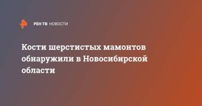 Кости шерстистых мамонтов обнаружили в Новосибирской области - ren.tv - Россия - Новосибирская обл.