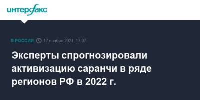 Эксперты спрогнозировали активизацию саранчи в ряде регионов РФ в 2022 г. - interfax.ru - Москва - Россия - Башкирия - респ. Ингушетия - Саратовская обл. - Алтайский край - респ. Чечня - респ. Алания - Астраханская обл. - респ. Калмыкия - респ. Кабардино-Балкария - Оренбургская обл.