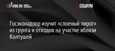 Госэконадзор изучит «слоеный пирог» из грунта и отходов на участке вблизи Колтушей - ivbg.ru - Украина