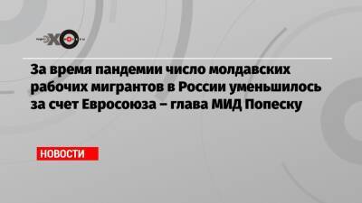 За время пандемии число молдавских рабочих мигрантов в России уменьшилось за счет Евросоюза – глава МИД Попеску - echo.msk.ru - Москва - Россия - Молдавия - Попеск
