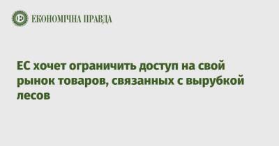 ЕС хочет ограничить доступ на свой рынок товаров, связанных с вырубкой лесов - epravda.com.ua - Украина