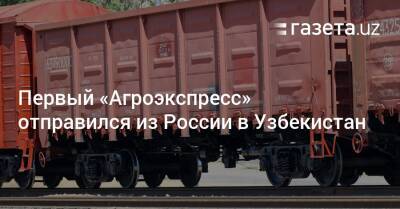 Узбекистан - Первый «Агроэкспресс» отправился из России в Узбекистан - gazeta.uz - Россия - Казахстан - Узбекистан - Тамбов - Ташкент