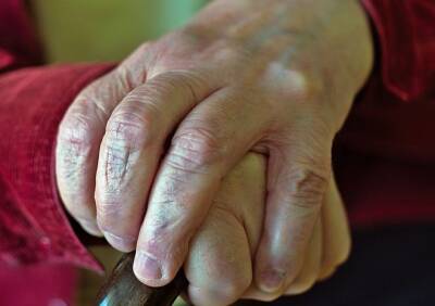 В Рязани задержали вора, укравшего полмиллиона рублей у 95-летней пенсионерки - ya62.ru - Рязань