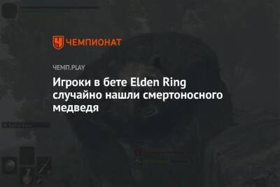 Игроки в бете Elden Ring случайно нашли смертоносного медведя - championat.com
