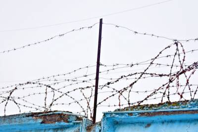 Костромской колонии-поселению №5 в поселке Прибрежный недолго осталось - kostroma.mk.ru - Костромская обл. - Кострома