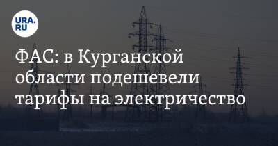 Виталий Королев - ФАС: в Курганской области подешевели тарифы на электричество - ura.news - Россия - Тюменская обл. - Курганская обл. - Югра - окр. Янао