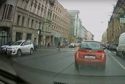 В Петербурге водитель Mazda переехал лапы собаке - spb.mk.ru - Санкт-Петербург