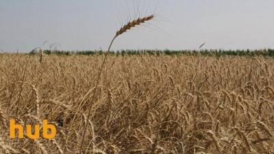 Аграриям, использующим мелиорированные земли, выделят господдержку - hubs.ua - Украина - Аграрии