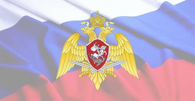 Сотрудник вневедомственной охраны города Ульяновска оказал помощь женщине, потерявшей сотовый телефон - ulpravda.ru - Ульяновск - район Заволжский, Ульяновск
