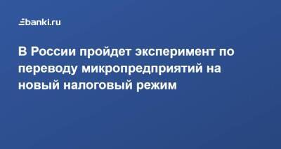 Михаил Мишустин - В России пройдет эксперимент по переводу микропредприятий на новый налоговый режим - smartmoney.one - Россия