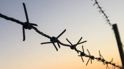 Польские пограничники заявили, что мигранты покинули свой лагерь - newdaynews.ru - Польша - Twitter