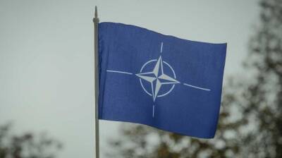 Страны НАТО резко увеличили секретный экспорт из России - mediavektor.org - Россия - США - Англия - Германия - Эстония - Чехия - Голландия