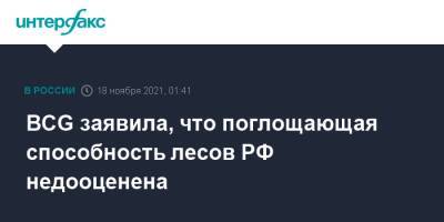 BCG заявила, что поглощающая способность лесов РФ недооценена - interfax.ru - Москва - Россия - Boston