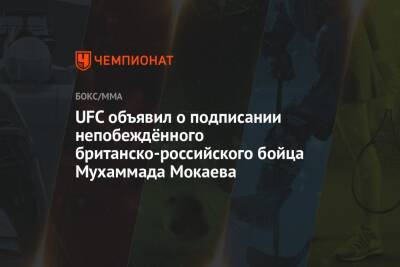 Мухаммад Мокаев - UFC объявил о подписании непобеждённого британско-российского бойца Мухаммада Мокаева - championat.com - Англия - респ. Дагестан