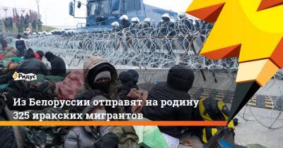 Из Белоруссии отправят на родину 325 иракских мигрантов - ridus.ru - Белоруссия - Ирак - Польша - Минск - Курдистан - Багдад