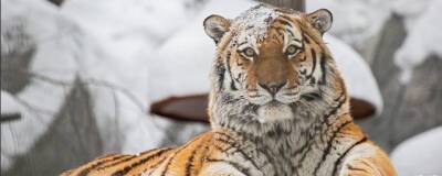 Новосибирский зоопарк имени Р.А. Шило получил лицензию на работу с животными - runews24.ru - Новосибирск