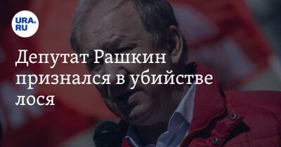 Валерий Рашкин - Депутат Рашкин признался в убийстве лося - ura.news - Москва - Россия