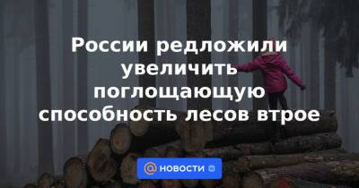 России редложили увеличить поглощающую способность лесов втрое - news.mail.ru - Россия - Boston