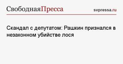 Валерий Рашкин - Скандал с депутатом: Рашкин признался в незаконном убийстве лося - svpressa.ru - Россия - Саратовская обл.