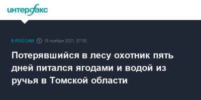 Потерявшийся в лесу охотник пять дней питался ягодами и водой из ручья в Томской области - interfax.ru - Москва - Томская обл.
