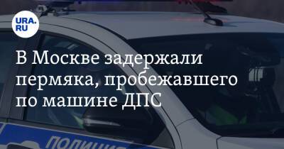 В Москве задержали пермяка, пробежавшего машине ДПС. Ранее он громил витрины сетевого гиганта - ura.news - Москва