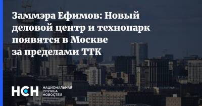 Владимир Ефимов - Заммэра Ефимов: Новый деловой центр и технопарк появятся в Москве за пределами ТТК - nsn.fm - Москва