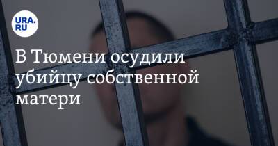 В Тюмени осудили убийцу собственной матери - ura.news - Тюмень - Тюменская обл.