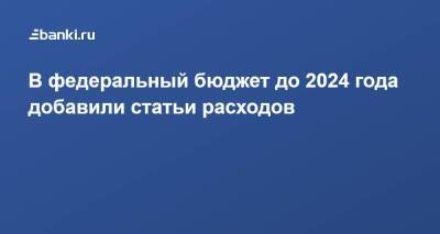 Ирина Окладникова - В федеральный бюджет до 2024 года добавили статьи расходов - smartmoney.one
