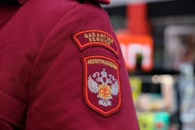 Роспотребнадзор в Волгограде проводит проверки в школьных столовых - volg.mk.ru - Волгоград - Волгоградская обл.