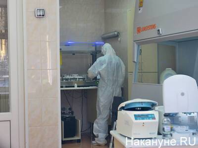 В Челябинской области 30 переписчиков заболели коронавирусом - nakanune.ru - Челябинская обл.