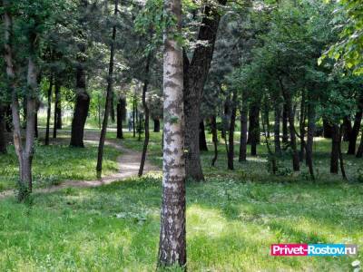 «Greenpeace Россия» не оценил желание донских властей ликвидировать памятники природы - privet-rostov.ru - Россия - Ростовская обл. - Таганрог