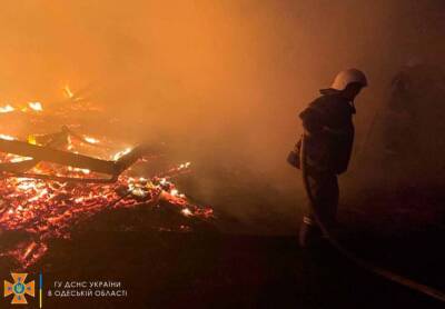 В Одесской области сгорели домики на базе отдыха "Южная волна" - vchaspik.ua - Украина - Одесская обл. - Южный