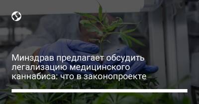 Минздрав предлагает обсудить легализацию медицинского каннабиса: что в законопроекте - liga.net - Украина