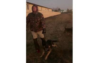 Под Белгородом две крупные собаки без намордников облаяли мужчину и его беременную жену: хозяева остались безучастны - mk.ru - Белгород