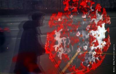 В России обновлен антирекорд по числу умерших от COVID-19 за сутки - interfax.ru - Москва - Россия - Санкт-Петербург - Самарская обл.