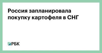 Россия запланировала покупку картофеля в СНГ - smartmoney.one - Россия