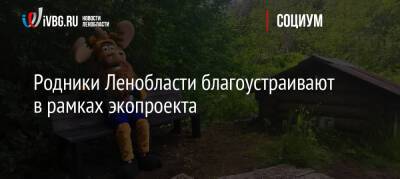 Родники Ленобласти благоустраивают в рамках экопроекта - ivbg.ru - Украина - Ленинградская обл.