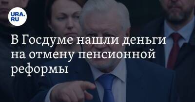 Владимир Путин - Сергей Миронов - Геннадий Зюганов - В Госдуме нашли деньги на отмену пенсионной реформы - ura.news - Россия