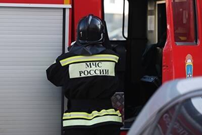 В Златоусте на пожаре погиб семилетний мальчик - znak.com - Челябинская обл.