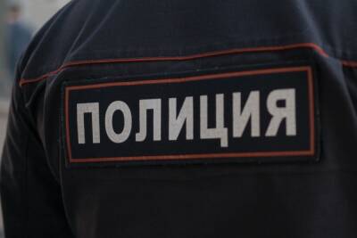 Ирина Волк - В Подмосковье задержали нигерийца, вымогавшего деньги на сайте знакомств - mk.ru - США - Сирия - Московская обл. - Нигерия
