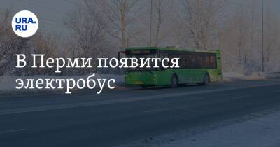 Дмитрий Махонин - В Перми появится электробус - ura.news - Москва - Пермь - Пермский край