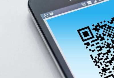 Жители Санкт-Петербурга рассказали, кому еще нужно выдавать QR-коды - online47.ru - Санкт-Петербург