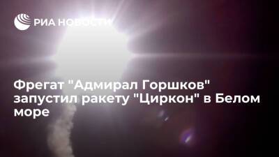 Сергей Шойгу - Владимир Путин - Фрегат "Адмирал Горшков" выполнил успешный пуск гиперзвуковой ракеты "Циркон" - ria.ru - Москва - Россия