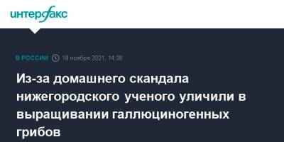 Ирина Волк - Из-за домашнего скандала нижегородского ученого уличили в выращивании галлюциногенных грибов - interfax.ru - Москва - Россия - Нижний Новгород - Нижний Новгород